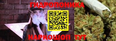 Альфа ПВП Чапаевск