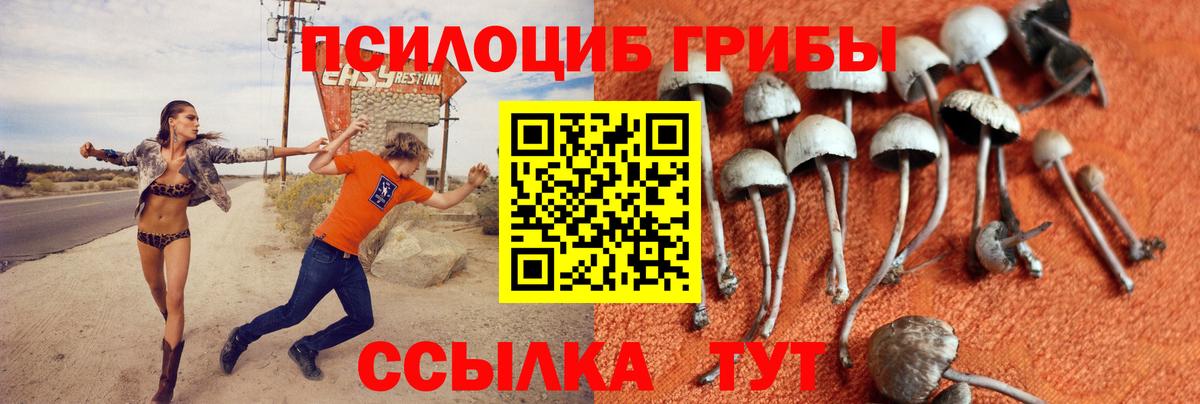 Саки  Псилоцибиновые грибы MAGIC MUSHROOMS  Вход с VPN 