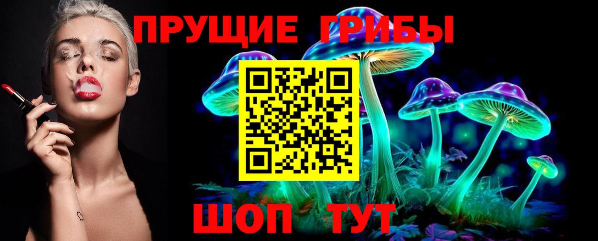 Псилоцибиновые грибы прущие грибы Саки